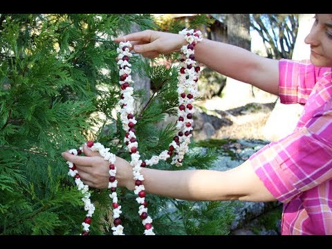 How to Make a Popcorn Garland for your Christmas Tree | Sophie's World How to Make a Popcorn Garland for your Christmas Tree | Sophie's World
