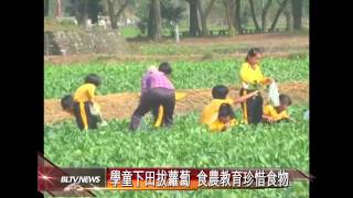 20150113 屏東六堆客家文化園區 白玉蘿蔔採收體驗