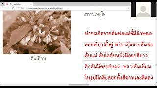 videoแบบฝึกหัดท้ายบท การถ่ายทอดพันธุกรรมของสิ่งมีชีวิต วิทย์ ป 5 3