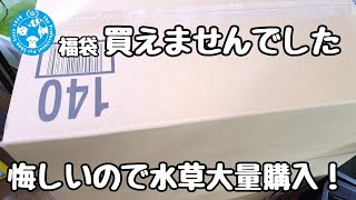 チャームの福袋が買えなかったので水草を大量に購入！【アクアリウム】