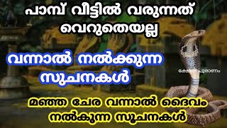 പാമ്പിനെ വീട്ടിലോ പരിസരത്തോ കണ്ടാൽ ഉള്ള ഫലങ്ങൾ. jyothisham Malayalam vastutips. snake