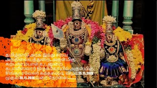 அருள்மிகு கபாலீஸ்வரர் திருக்கோயில் - அருள்மிகு சிங்காரவேலர் கந்தசஷ்டி விழா-  நேரலை