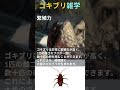 【雑学】ゴキブリとは？ 意外な事実 自然の不思議 昆虫の秘密 驚きの生態