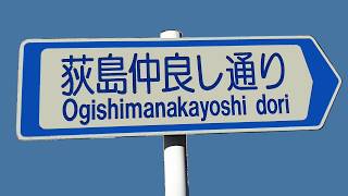 埼玉県越谷市　荻島仲良し通り　車載