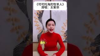 《可可托海的牧羊人》清唱： 王紫菲 #翻唱