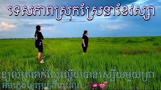 ទេសភាពស្រុកស្រែនាខែឧស្សាហ៍ វាលស្រែខៀវស្រងាត់ខ្យល់បក់ត្រសៀកដកដង្ហើមស្រស់ថ្លា។