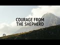 Courage from the Shepherd | Audio Reading | Our Daily Bread Devotional | November 5, 2024