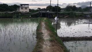 大棠有機生態園Tai Tong Organic EcoPark