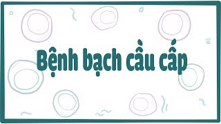 Bệnh bạch cầu cấp