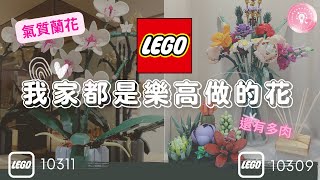 【咕咕啦啦來開箱】樂高 LEGO 10309 多肉植物 \u0026 10311 蘭花 來開箱! Succulents \u0026 Orchid