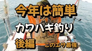 和歌山紀北　友ヶ島　加太　今年は簡単カワハギ　後編