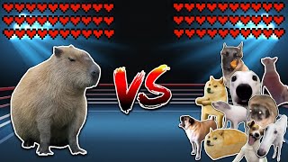 Giant Capybara vs 10 Dogs! Meme battle