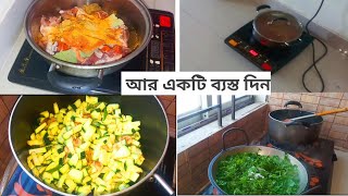 গতকালের দিনটি কেমন কাটল আমার /BD Vlogger  Toma