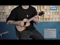 cascha zebra wood concert ukulele cuczw1 sound demo