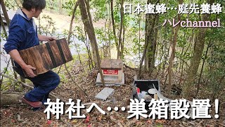 【日本蜜蜂】…庭先　神社へ日本ミツバチの巣箱設置に行きました😊