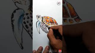 Tortoise drawing #shorts #Tortoise