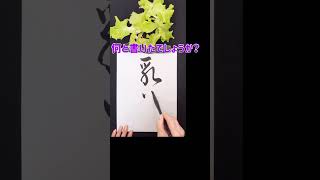 【書道】草書Japanese calligraphy