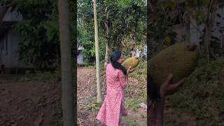 വരൂ ചക്ക ഇടാം #short#minivlog #jackfruit