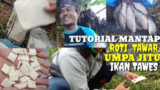 TUTORIAL UMPAN ROTI SANGAT MANJUR BUAT IKAN TAWES DAN IKAN MAS,INI HASILNYA.