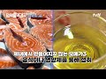 세계보건기구에서도 오메가3 섭취를 권장하는 이유 명의들의경고 ep.4 tvn 230405 방송