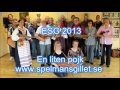 eskilstuna spelmansgille 2013 en liten pojk