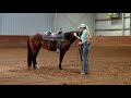 nala s first ride part 1 full length video colt starting series part 7