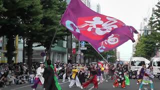 ＹＯＳＡＫＯＩソーラン祭り２０１９　ふくこい踊り隊