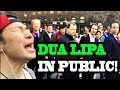 Dua Lipa -