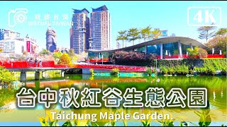 【秋紅谷景觀生態公園】欣賞城市裡的大自然~ 黑天鵝寶寶出生了呢！