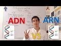 Differences between DNA and RNA. Expert level to beginners IN 5 MINUTES