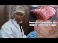 Pemprosesan Lembu Wagyu Halal Di Jepun | Standard Halal JAKIM | Ustaz Amri Halal