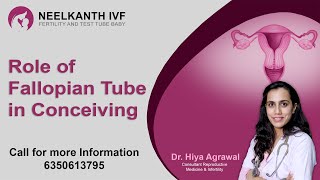 Role of Fallopian Tube in Conceiving - Best IVF Center In India