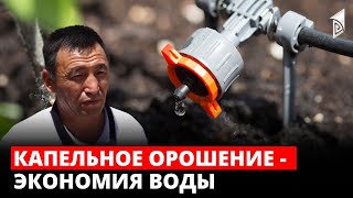 Капельное орошение - экономия воды