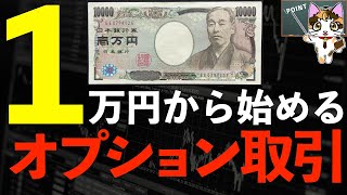 日経平均225先物オプション取引毎月1万円からできる手法