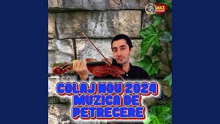 Colaj Hora 2024 - Muzica de petrecere 2024