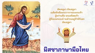 Ep.298  16-07-2023  มิสซาภาษามือไทย “สัปดาห์ที่ 15 เทศกาลธรรมดา  ปีA”  บาทหลวงเปโตร ภูรวัติ ศีราอริย