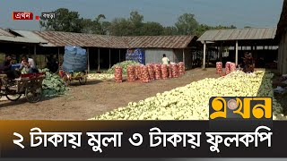 ২ টাকায় মুলা ৩ টাকায় ফুলকপি | Vegetable Price | Bogura News | Bazar News