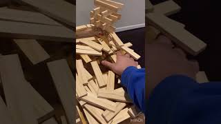 I Made An Eiffel Tower Out Of Wooden Blocks But Failed