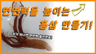 홍삼만들기. 집에서 홍삼 만드는 방법~  / 요리하는채널 / 또바기TV