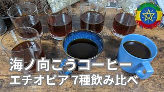 【コーヒー焙煎】海ノ向こうコーヒーのエチオピア7種を飲み比べてみた【エチオピア,2023クロップ】