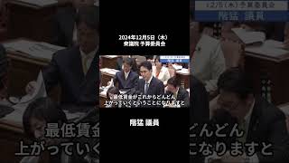 2024年12月5日「衆議院」予算委員会　階猛議員２「130万円の壁を超えて、被用者に発生する国民年金、国民健康保険の保険料負担を給付で埋める。そして手取りを右肩上がりにする。こういう仕組みが必要」