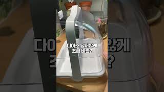 단돈 5천원으로 온실을 만든다? #식물 #다이소