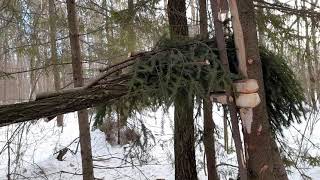 #158 кулёмка самолов на куницу.заготовка на следующий год