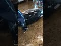 Amazing 400KG Bluefin Tuna Cutting Skill