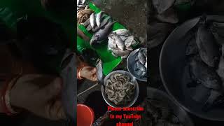 ক্যানিং মাছ বাজারে মাছ কিনতে গেলাম 🐠