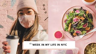 Week in My Life in NYC | Food Blog BTS, Snow Day, Rhode Island Vegan Food, Life Update