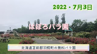 【Garden】北海道はぼろバラ園