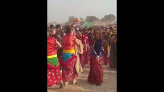 Sunuwar Udhauli (उधौली) /dance