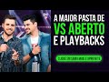 VS Sertanejo Profissional Multitrack - Download para Shows