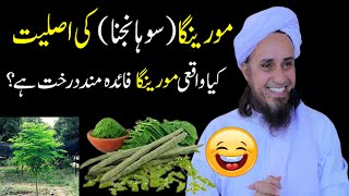 Moringa ( Sohanjna ) Ki Asliyat | kashish e islam@mufti tariq masood speeches | #muftitariqmasood